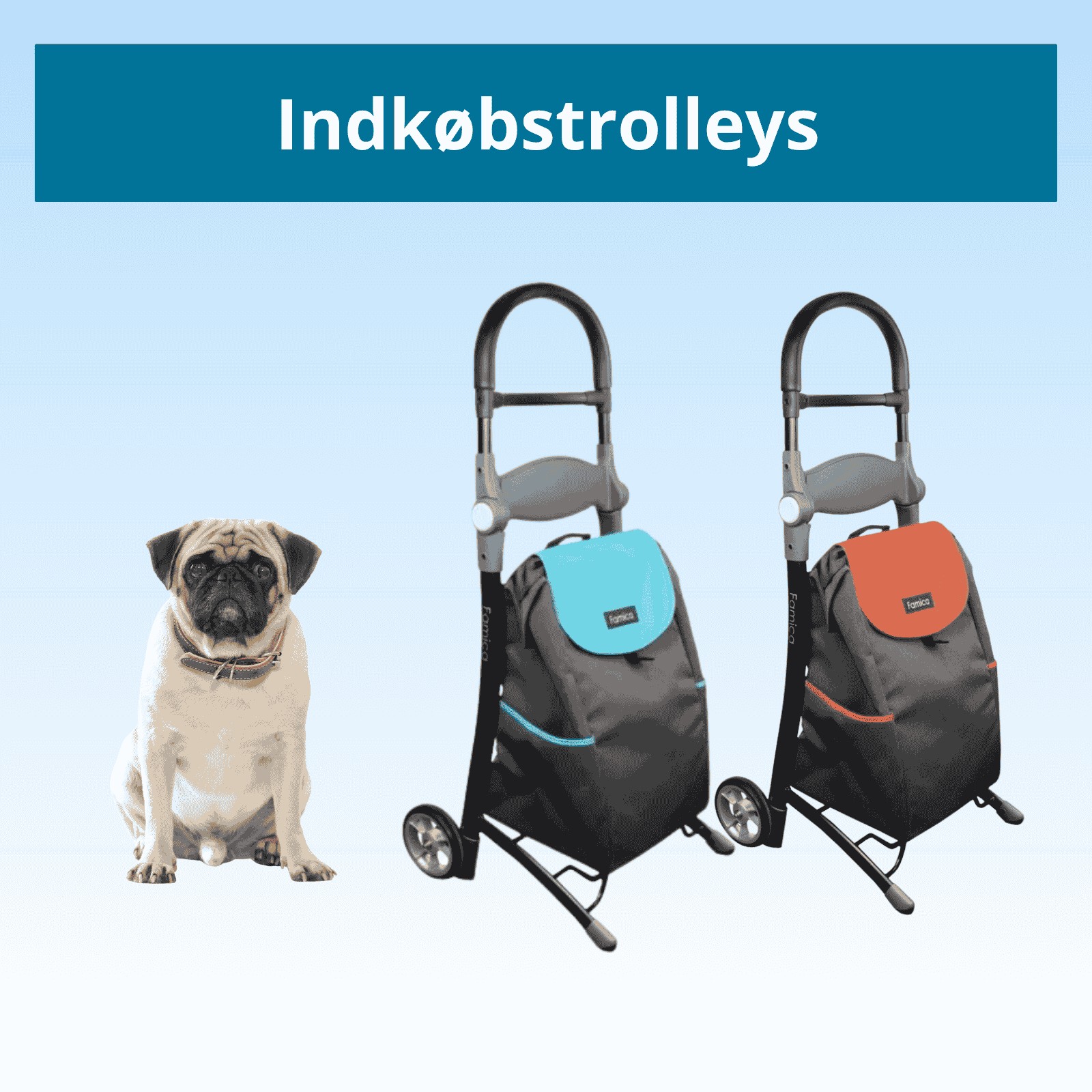 Indkøbstrolleys
