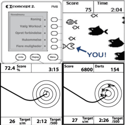 Concept 2 Romaskine Standard