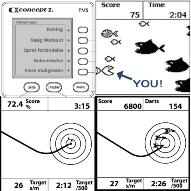 Concept 2 Romaskine Standard