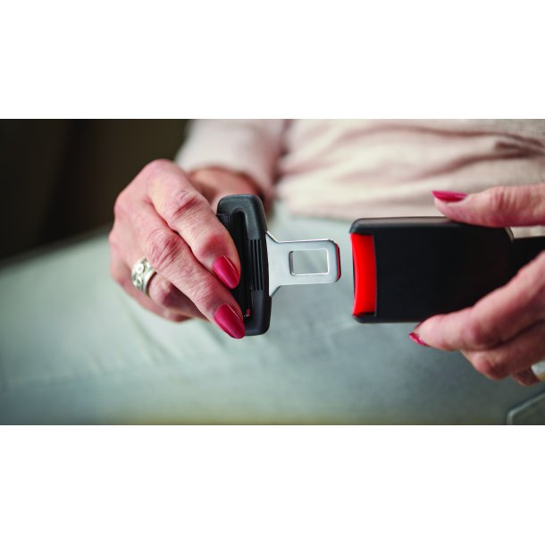 Bespoke Trappelift Infinity Curved