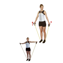 Dittmann Body Tube - Let - Gul