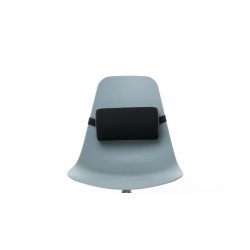 Lndepude Kort Memoryskum, Sort