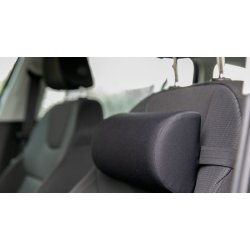 Lndepude Kort Memoryskum, Sort