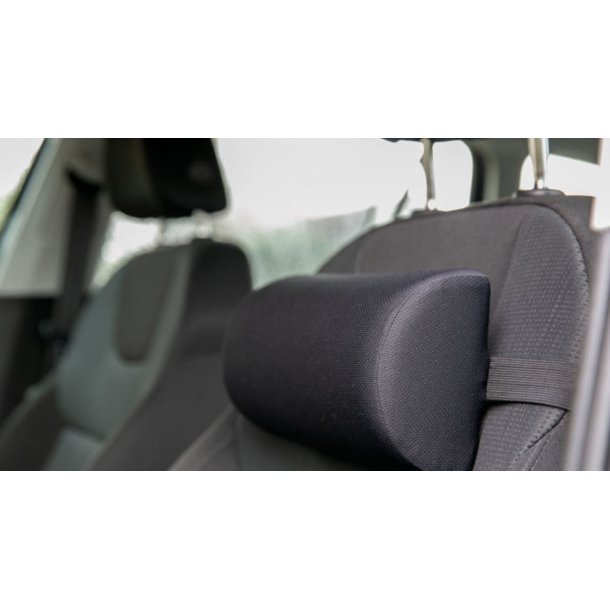 Lndepude Kort Memoryskum, Sort